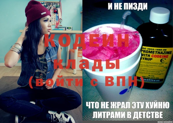 хмурый Покров