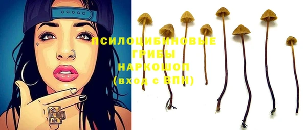 хмурый Покров
