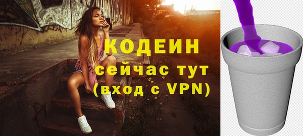 дурь Покачи