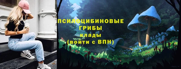 дурь Покровск