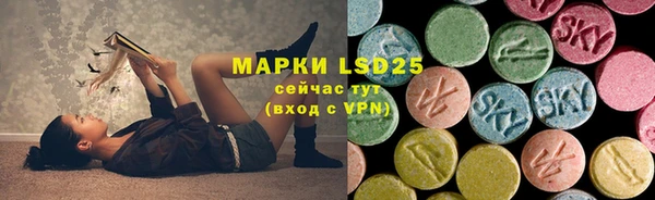 дурь Покачи